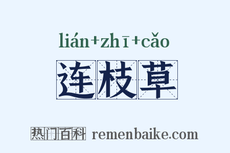 连枝草是什么意思的图片
